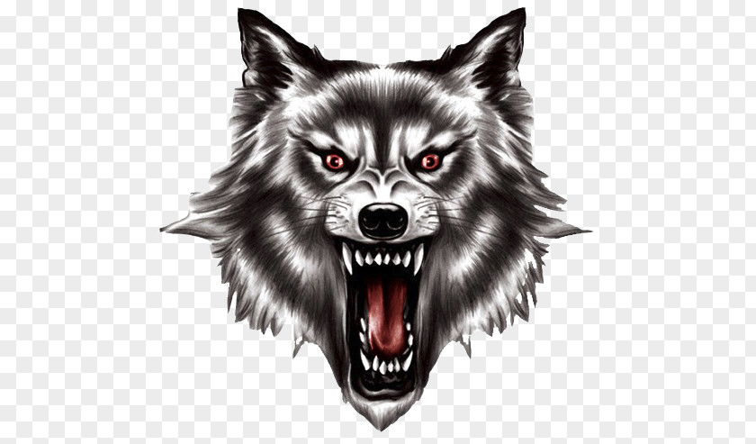 Werewolf Big Bad Wolf Clip Art PNG
