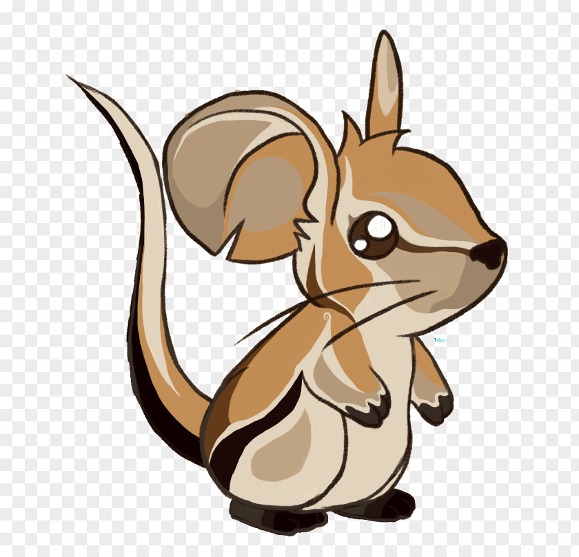 Chipmunk Whiskers Transformice Cat Mouse Rat PNG