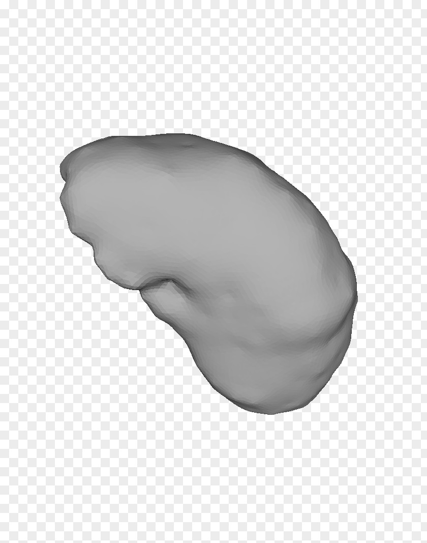 Liver STL MeshLab Polygon Mesh 3D Modeling PNG