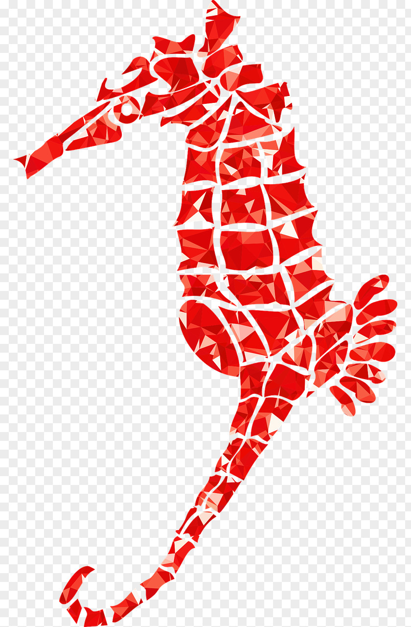 Seahorse Fish Pony Clip Art PNG