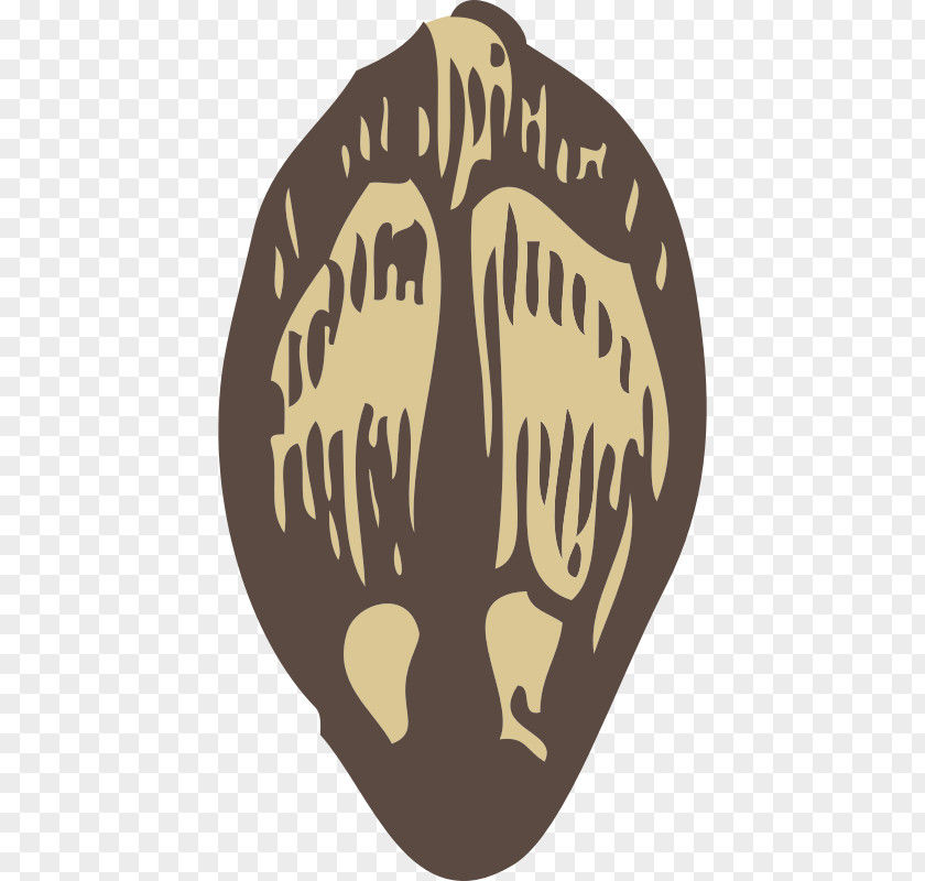 Seed Clip Art PNG