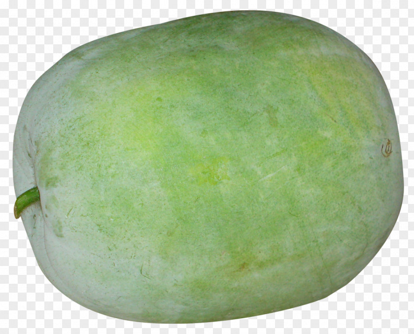 Winter Melon Watermelon Wax Gourd PNG