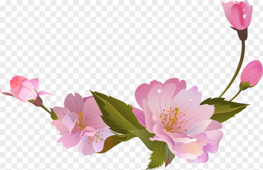 BLOSSOM Flower Petal Branch Floral Design PNG