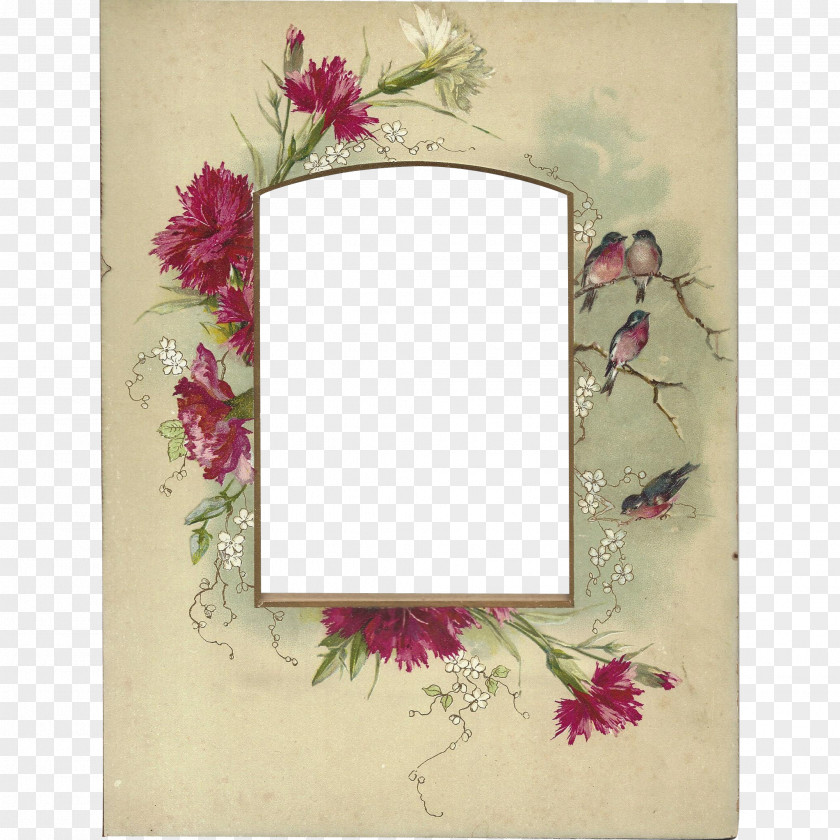 Design Floral Picture Frames Rectangle PNG