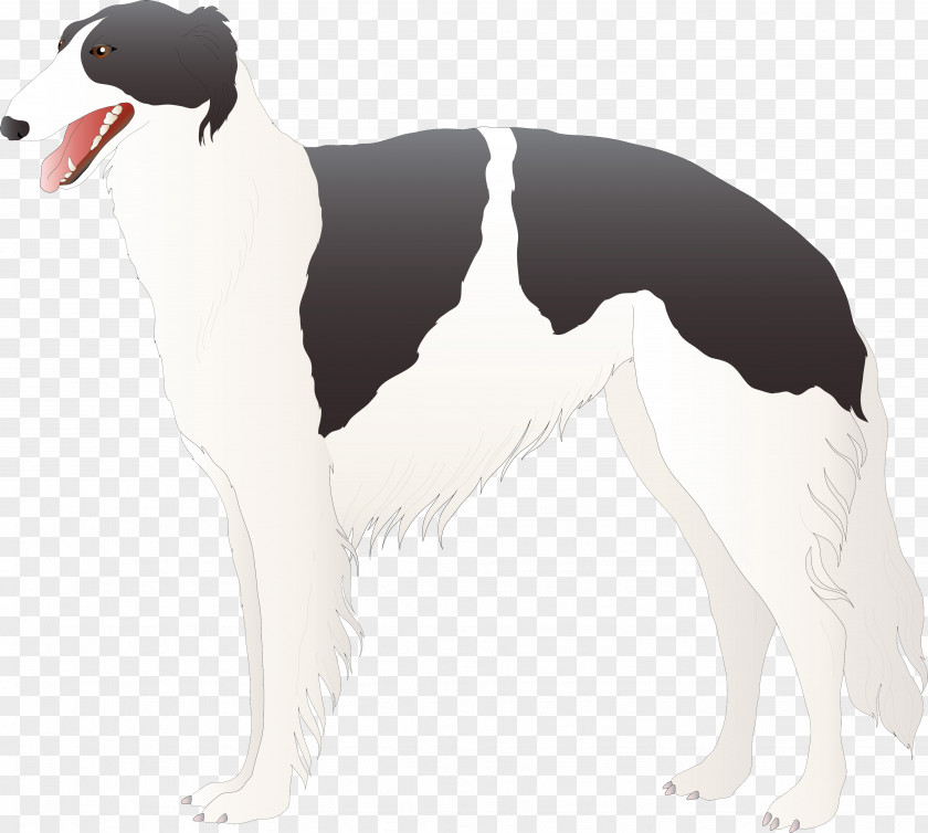 Dog Drawing PNG