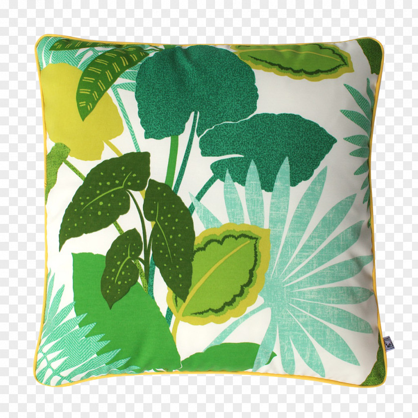 Green Pillow Cushion Throw Pillows Floor Linen PNG