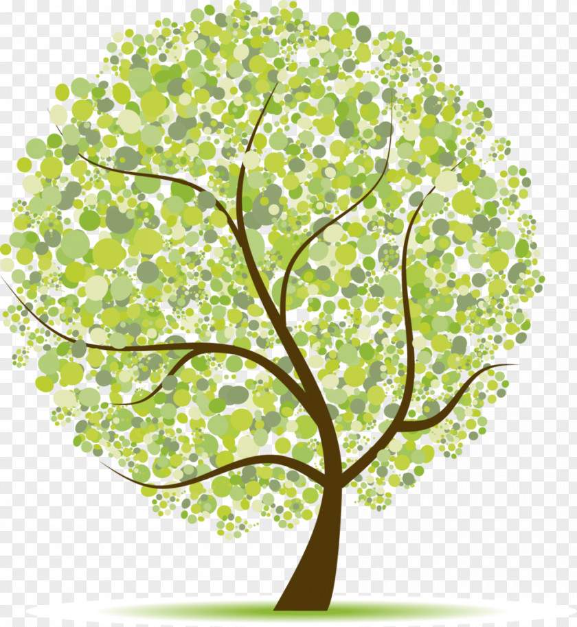 Tree Collection Vector Graphics Royalty-free Clip Art Stock Photography Image PNG