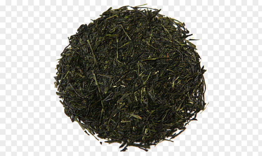 Zen Tea Green Gyokuro Sencha Golden Monkey PNG