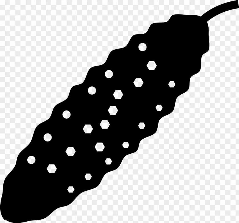 Cucumbers Silhouette PNG