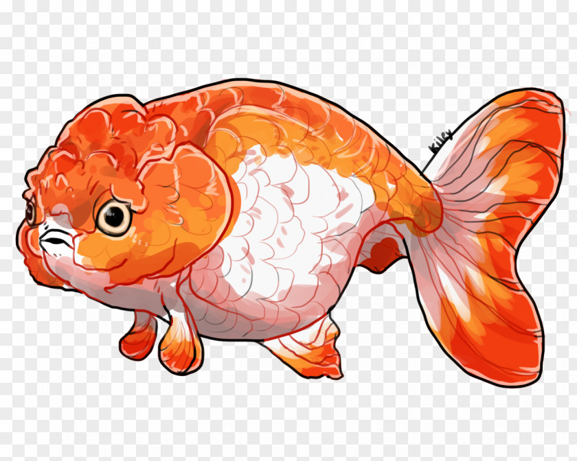 Feeder Fish Koi Cartoon PNG