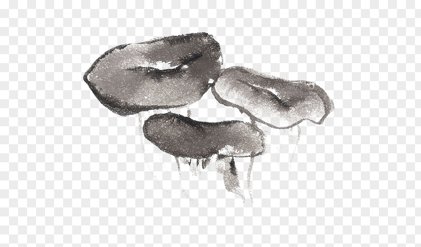 Hand Drawn Mushrooms Mushroom Drawing Gratis PNG