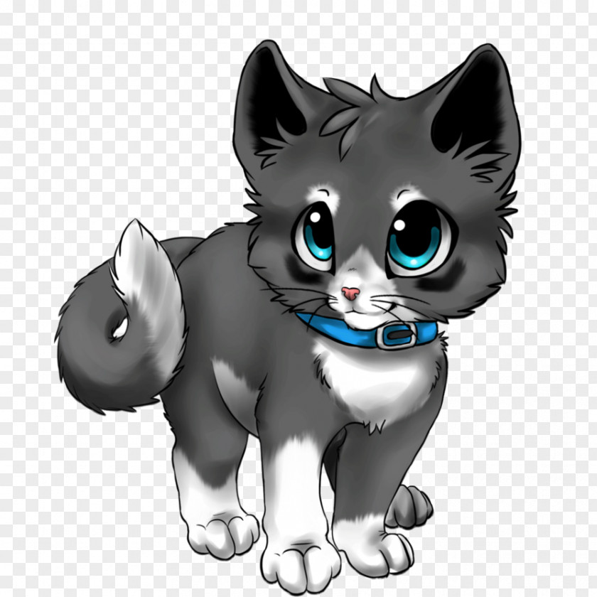 Kitten Whiskers Siamese Cat Drawing Sketch PNG