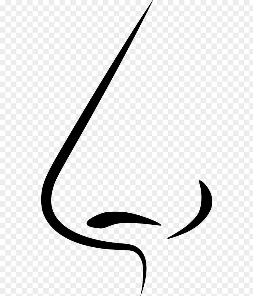 Nose Icon Clip Art Image PNG