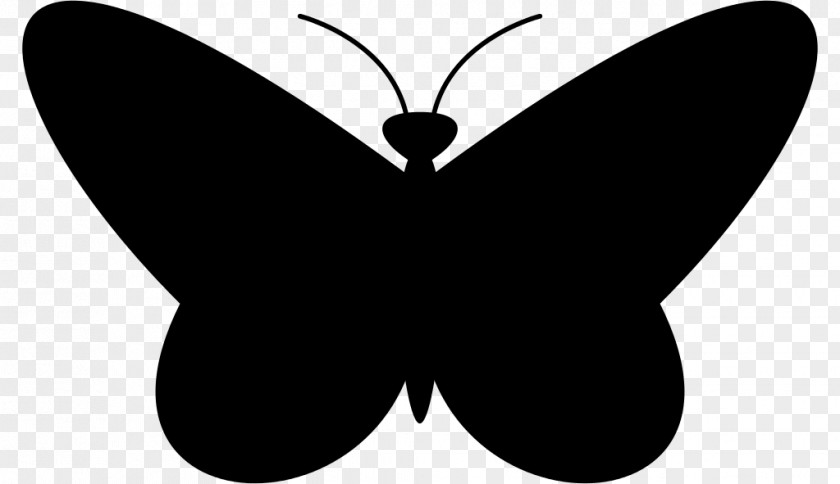 Silhouette Creative Butterfly Drawing Black And White Clip Art PNG