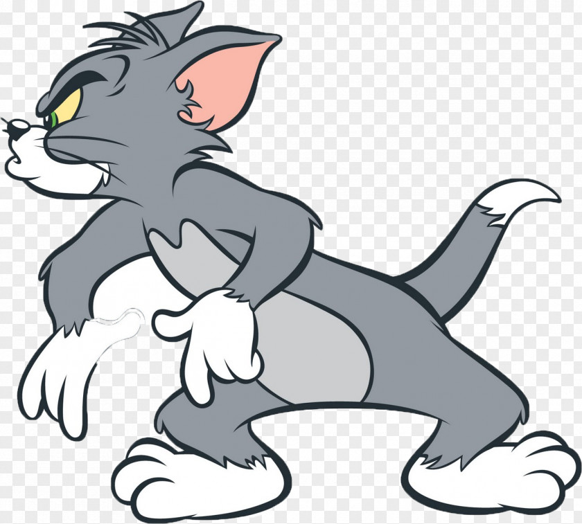 Tom & Jerry Cat Mouse And Cartoon Animation PNG