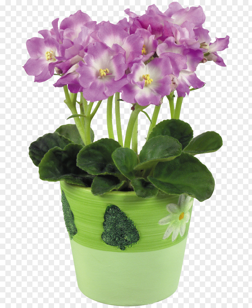 Flowerpot African Violets PNG