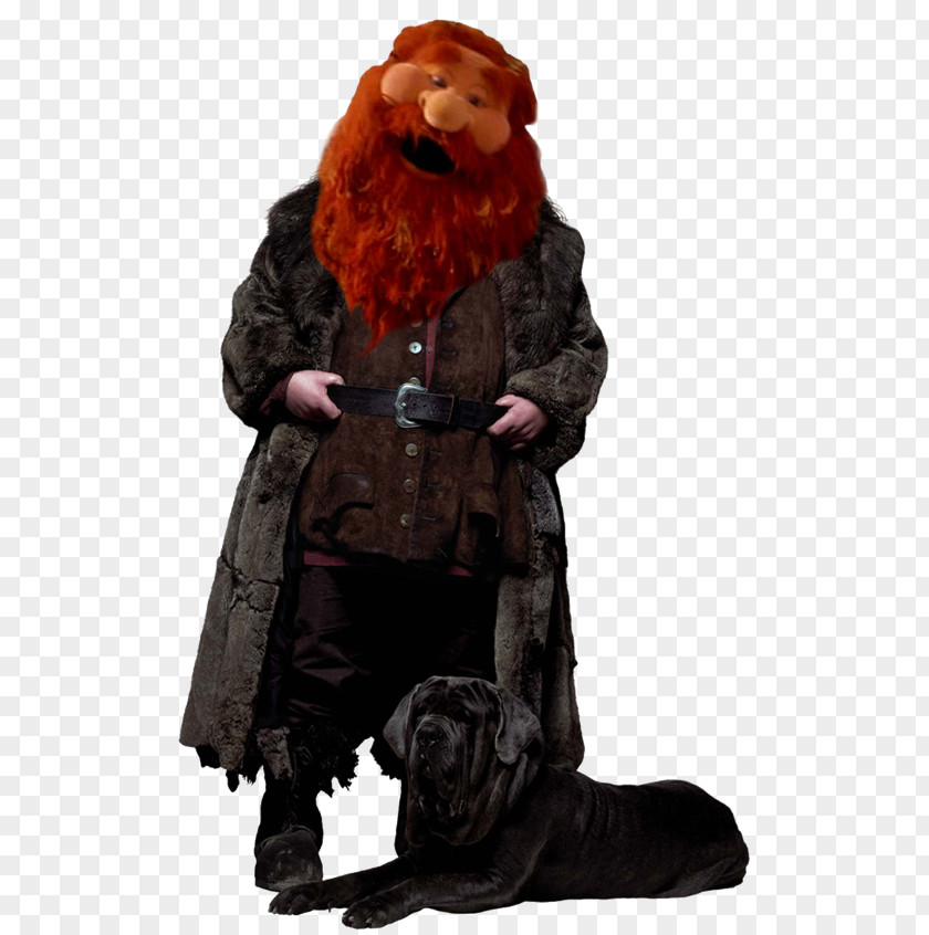 Harry Potter Hermione Granger Rubeus Hagrid Ron Weasley James Lucius Malfoy PNG