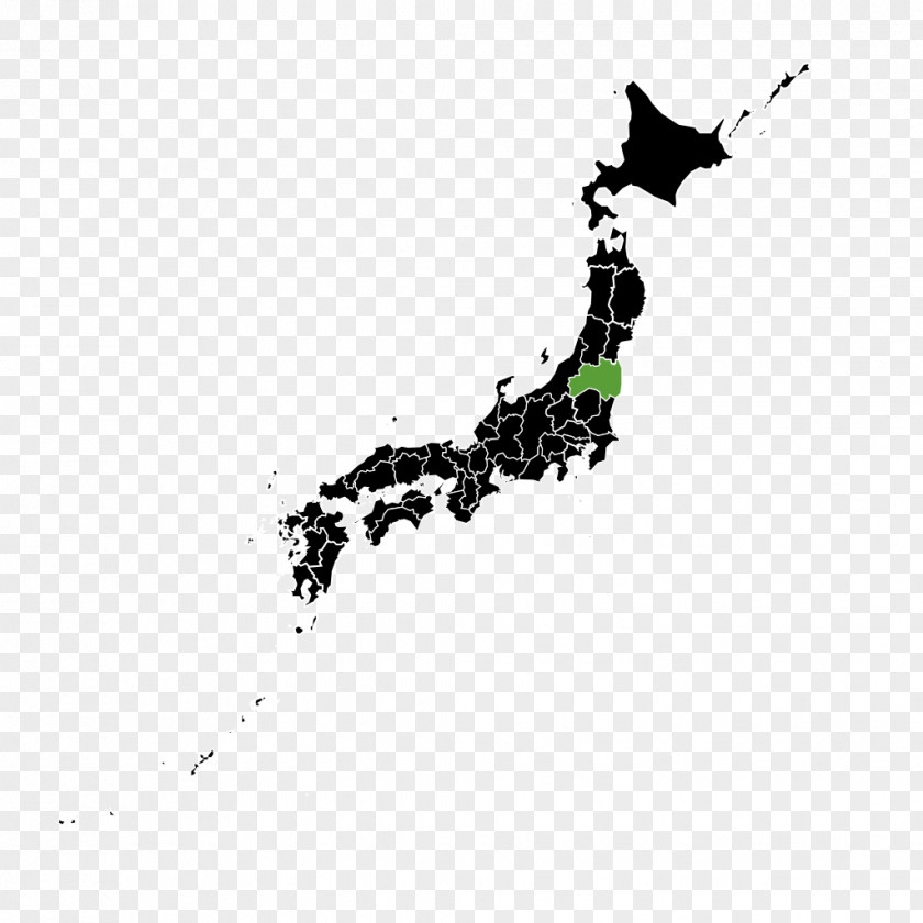 Japan Vector Map Graphics Illustration PNG