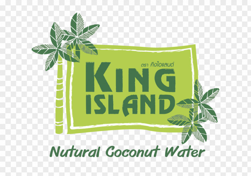 Juice Coconut Water Tea Sports & Energy Drinks Milk PNG