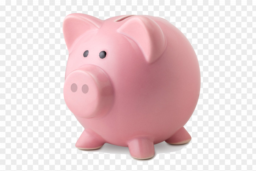 Pig Piggy Bank Money Saving Stock Photography PNG