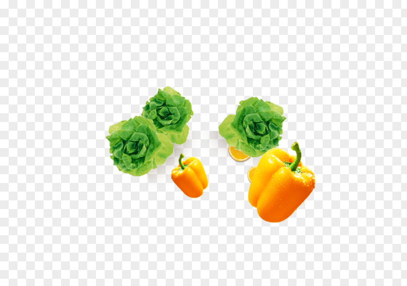 Cabbage Pepper Bell Vegetable Chili PNG