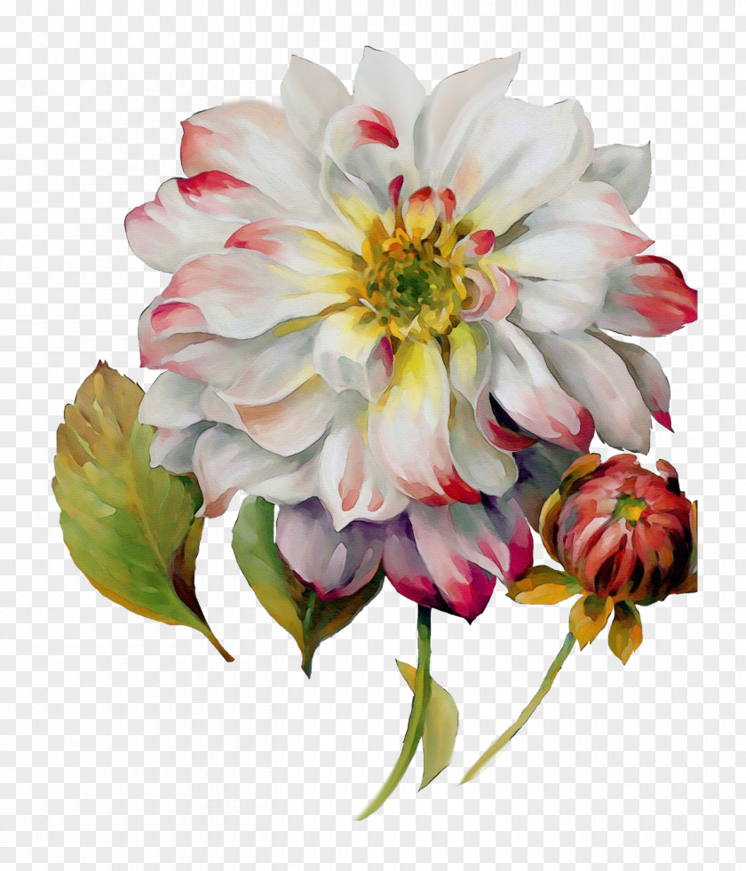 Decoupage Watercolor Painting Floral Design Art PNG