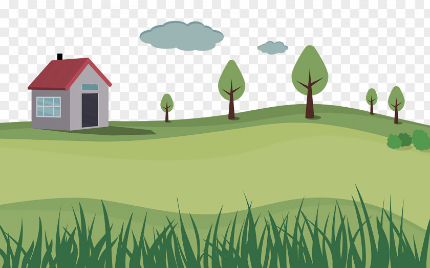 Ecosystem Grassland Lawn Energy Grasses PNG