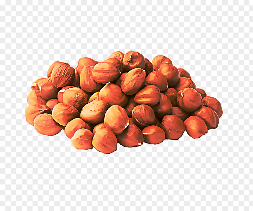 Nuts Seeds Superfood Chocolate Cartoon PNG