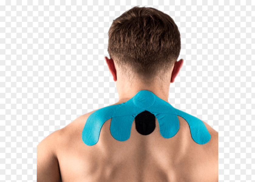 Taping Elastic Therapeutic Tape Nape Shoulder Applied Kinesiology PNG