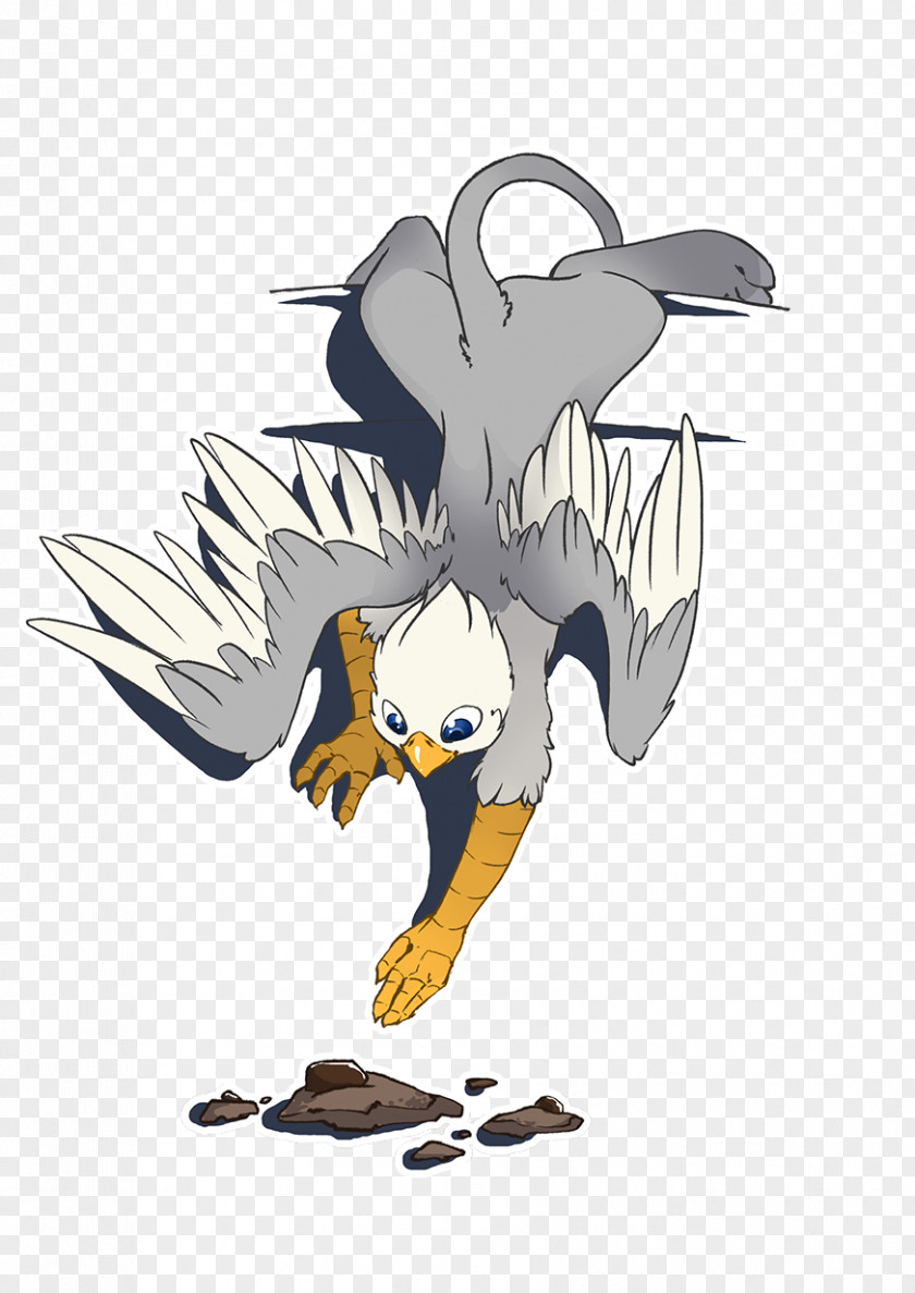 Bird Beak Of Prey Illustration Clip Art PNG