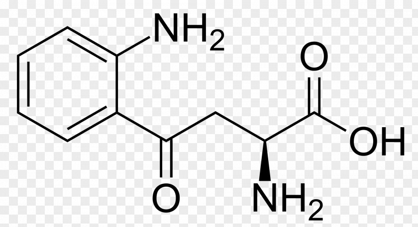 Kynurenine Amino Acid Tryptophan Phenylalanine PNG