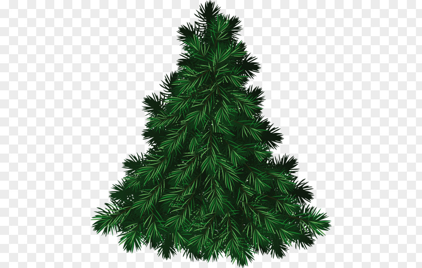 Tree Clip Art Christmas Pine PNG