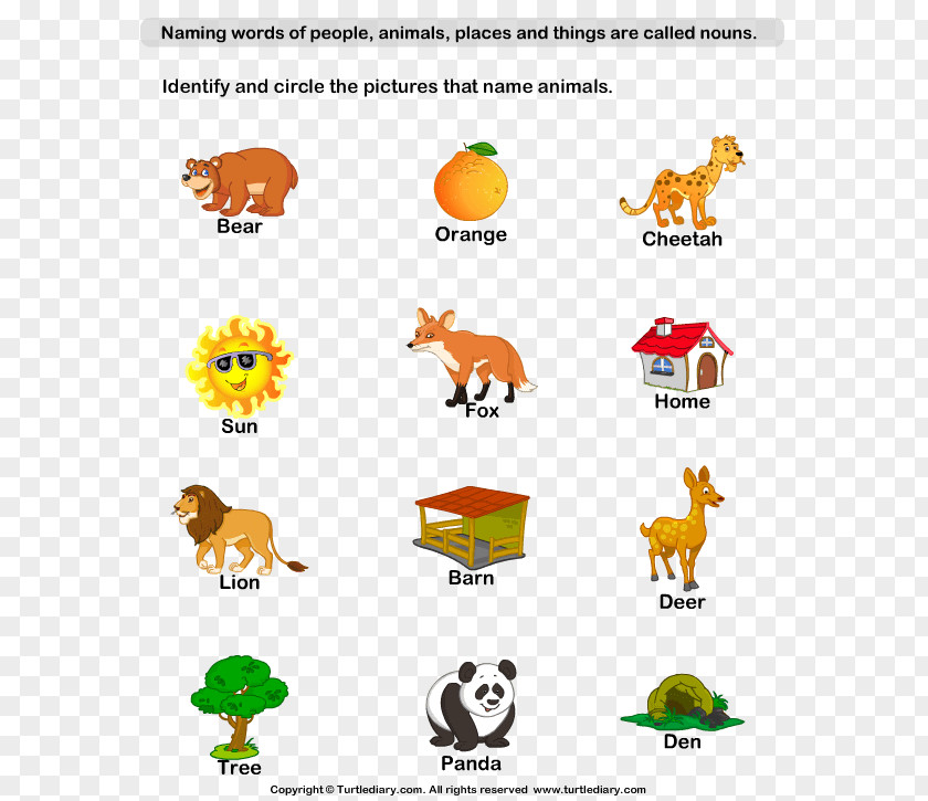 Animals Vocabulary For Kids Naming Words: Nouns And Pronouns Kindergarten Worksheet Plural First Grade PNG