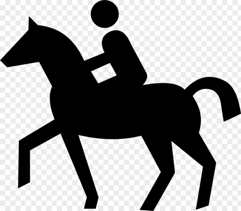 Dressage Mare Horse Cartoon PNG