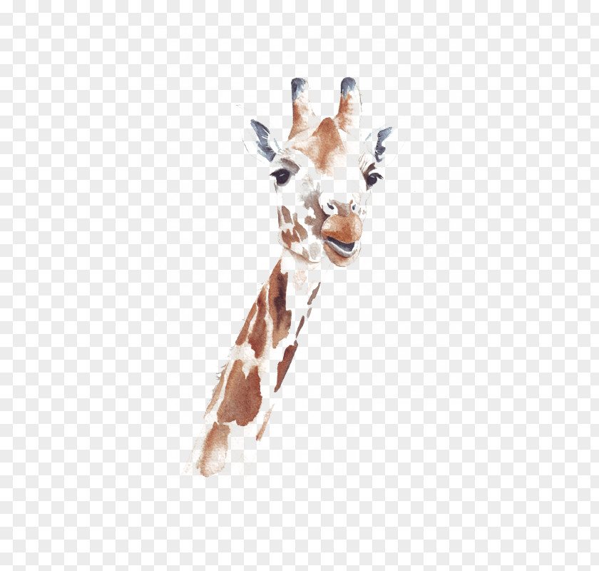 Giraffe Watercolor: Animals Northern Watercolor Painting Drawing PNG