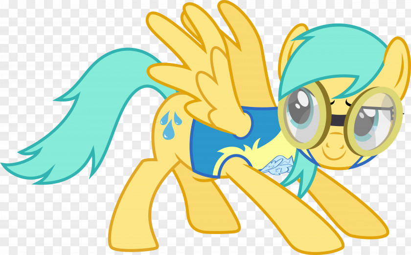 Raindrops Pony Rainbow Dash Art PNG