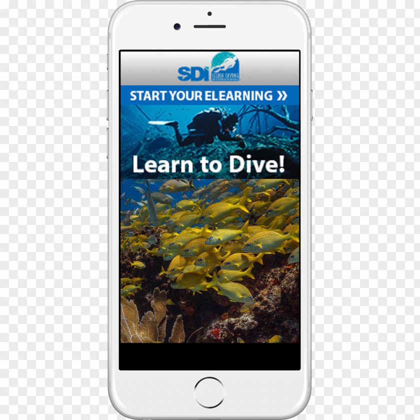 Smartphone HTC Desire Eye Professional Association Of Diving Instructors Scuba Underwater PNG