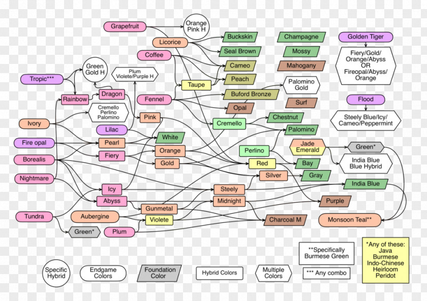 Technology Line Diagram PNG