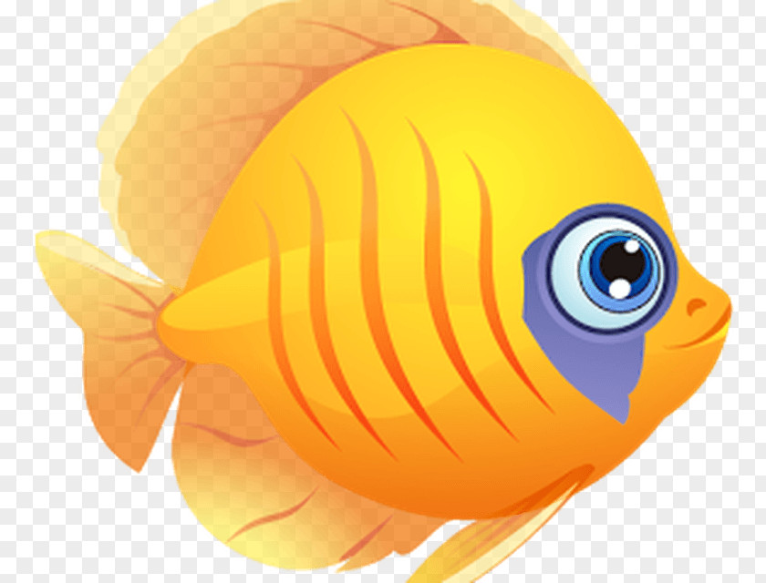 Android Fish Adventure Aquarium My Tank PNG
