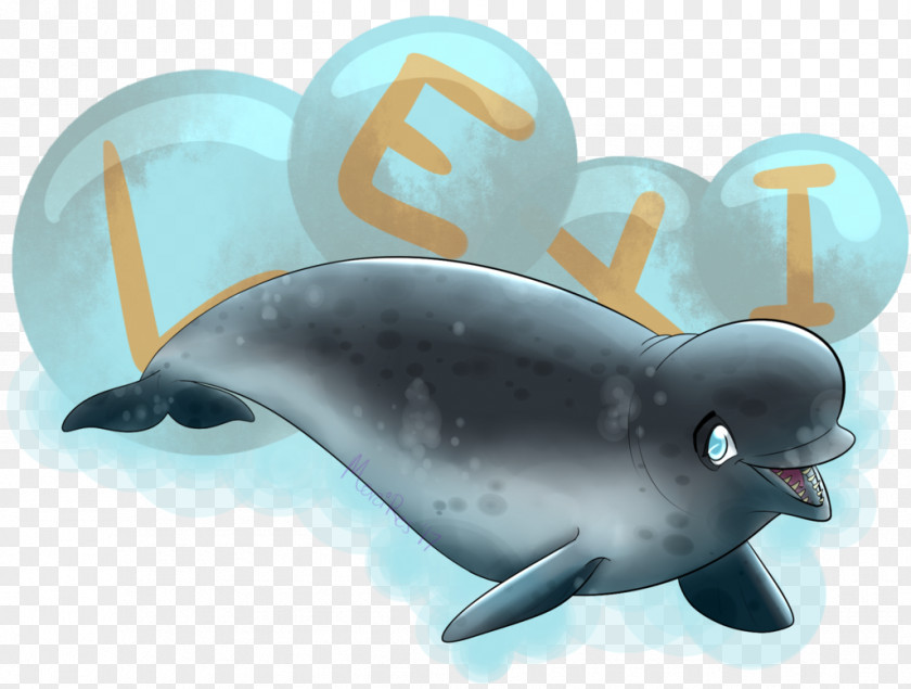 Dolphin Porpoise Marine Biology Cetacea Fauna PNG