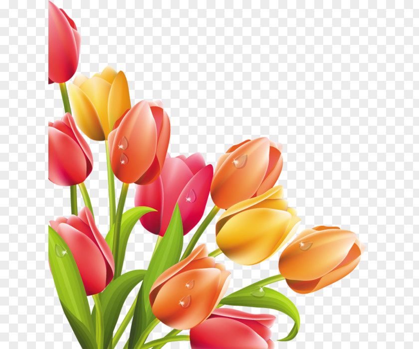 Easter Bunny Flower Bouquet Clip Art PNG