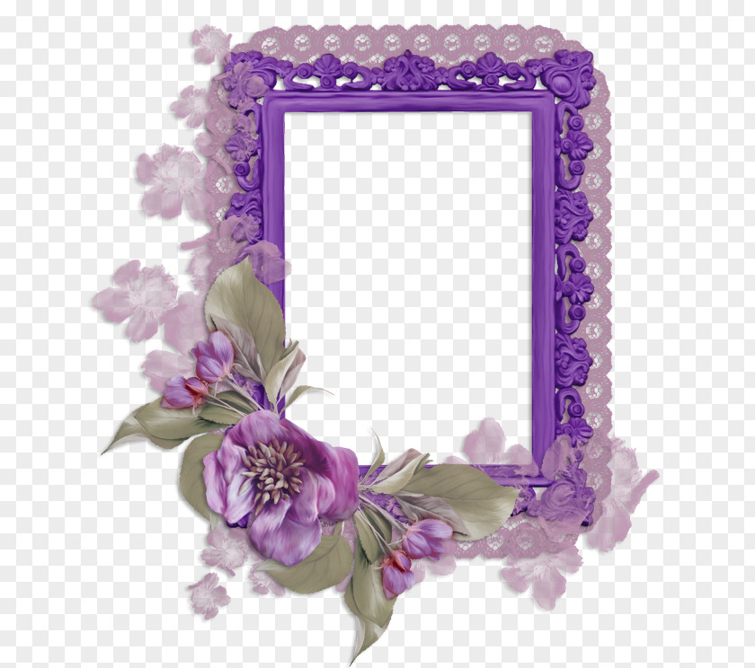 Flower Floral Design Picture Frames Albom PNG