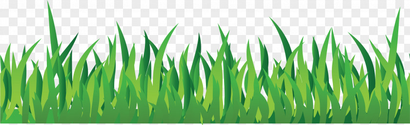 Grass Image, Green Picture Clip Art PNG
