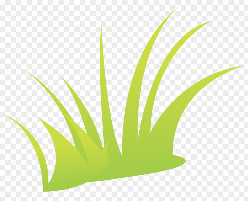 Green Grass PNG