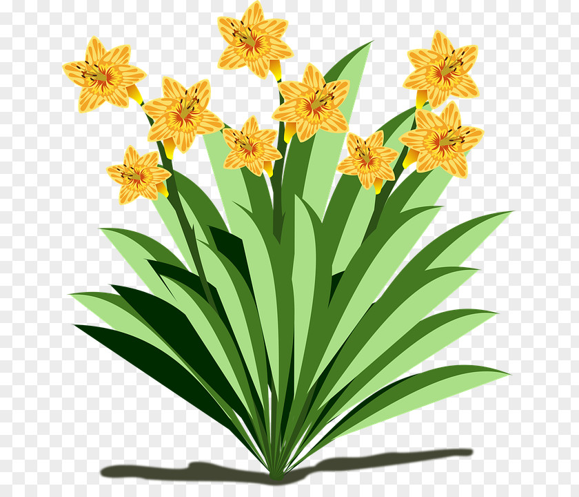 Plant Flowering Clip Art PNG