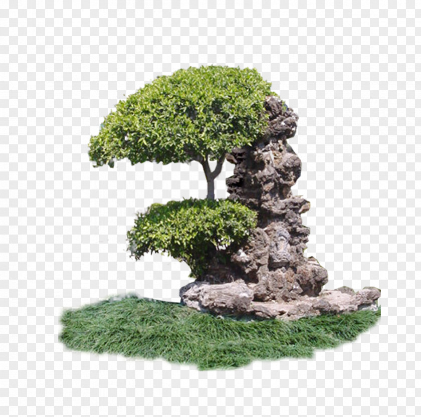 Stone Art Gardening Sculpture Download Rock PNG