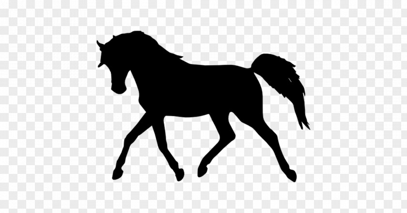 Tennessee Walking Horse Arabian Pony Equestrian Clip Art PNG