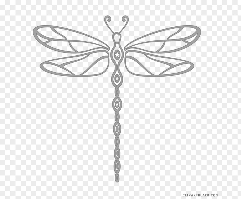 Dragonfly Clip Art Image Vector Graphics PNG