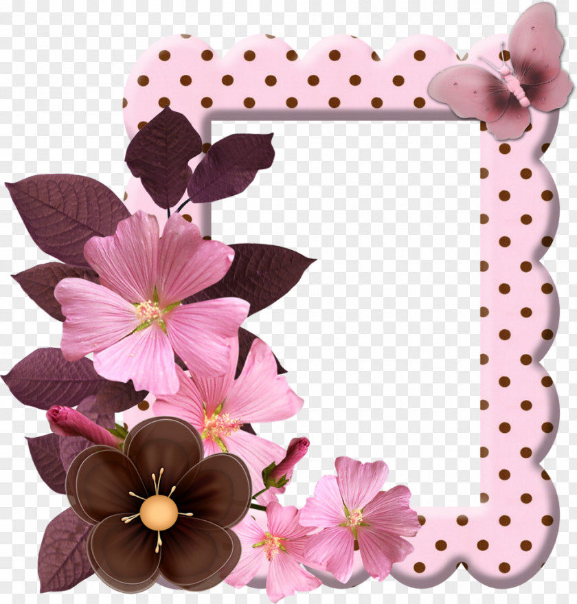 Flower Picture Frames Photography Clip Art PNG