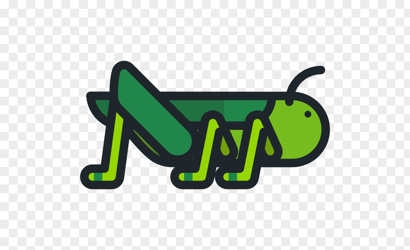 Grasshopper PNG